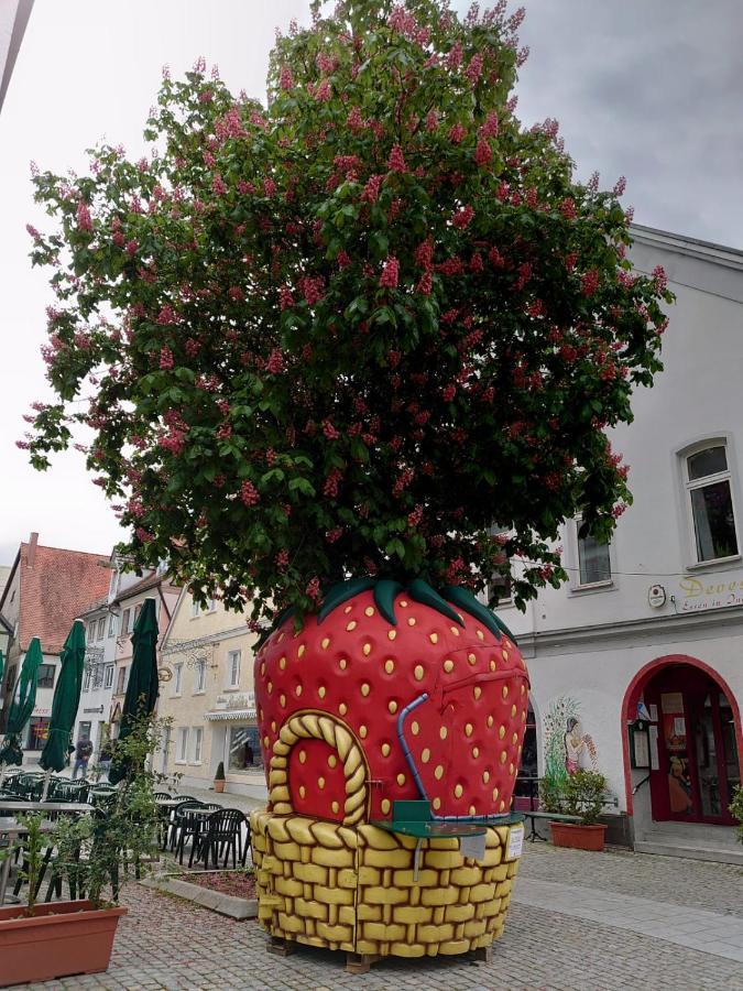 Ferienwohnungen Boegner Günzburg Exteriér fotografie